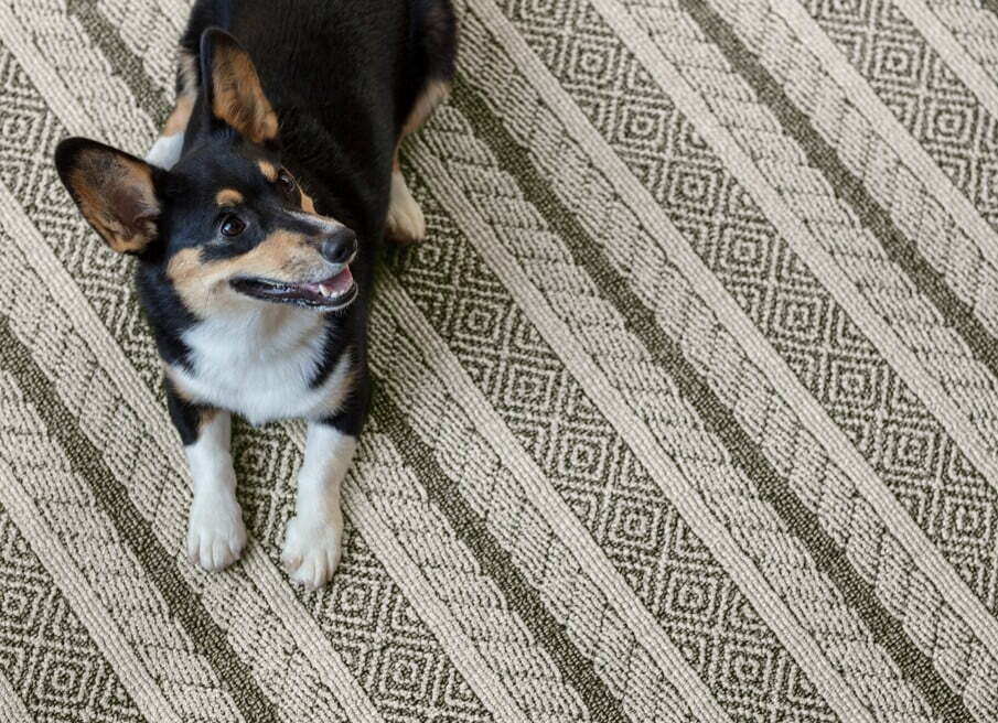 Pet friendly carpet