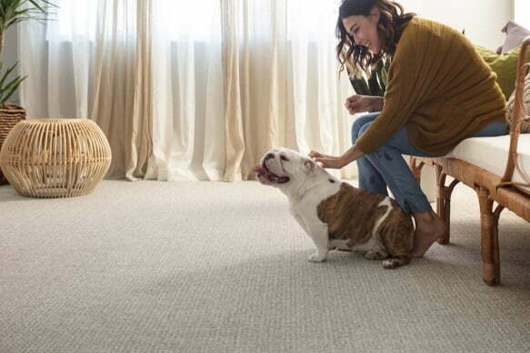 unleashed-briarwood-carpet