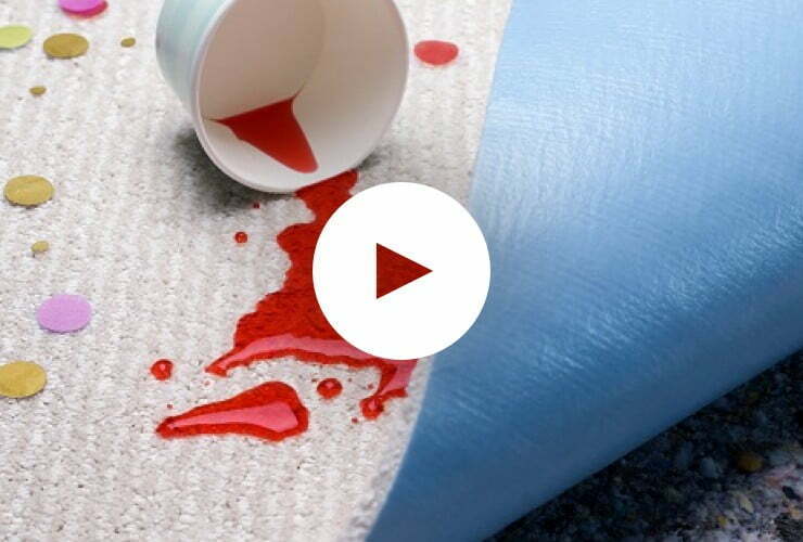 shaw lifeguard stain protector | Flooring You Well