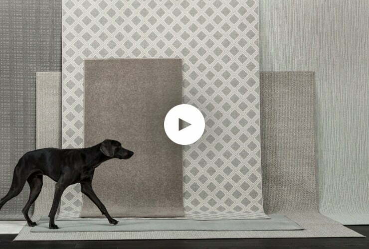 stainmaster petprotect video | Flooring You Well