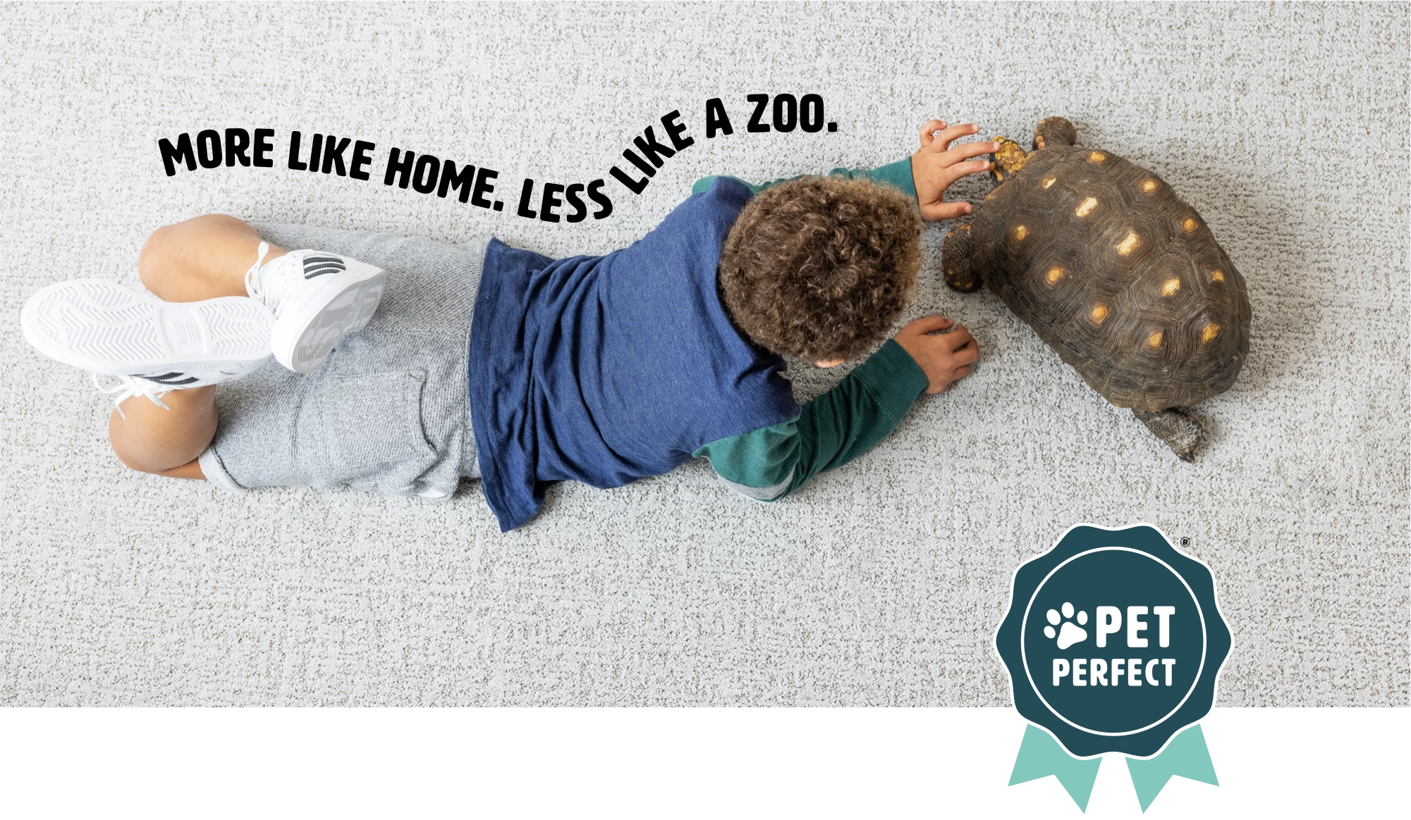 Banner_PetPerfect