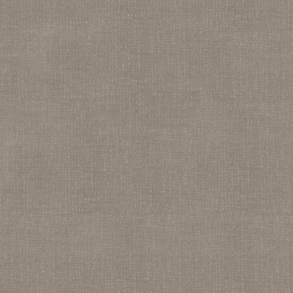 mj550_00724 mj550_00724